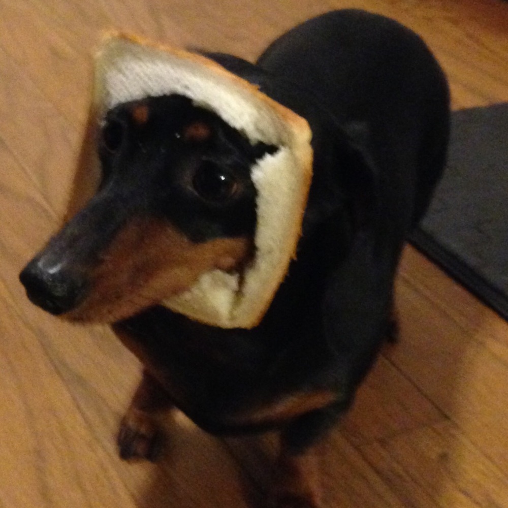 Meet your Posher, Joanna